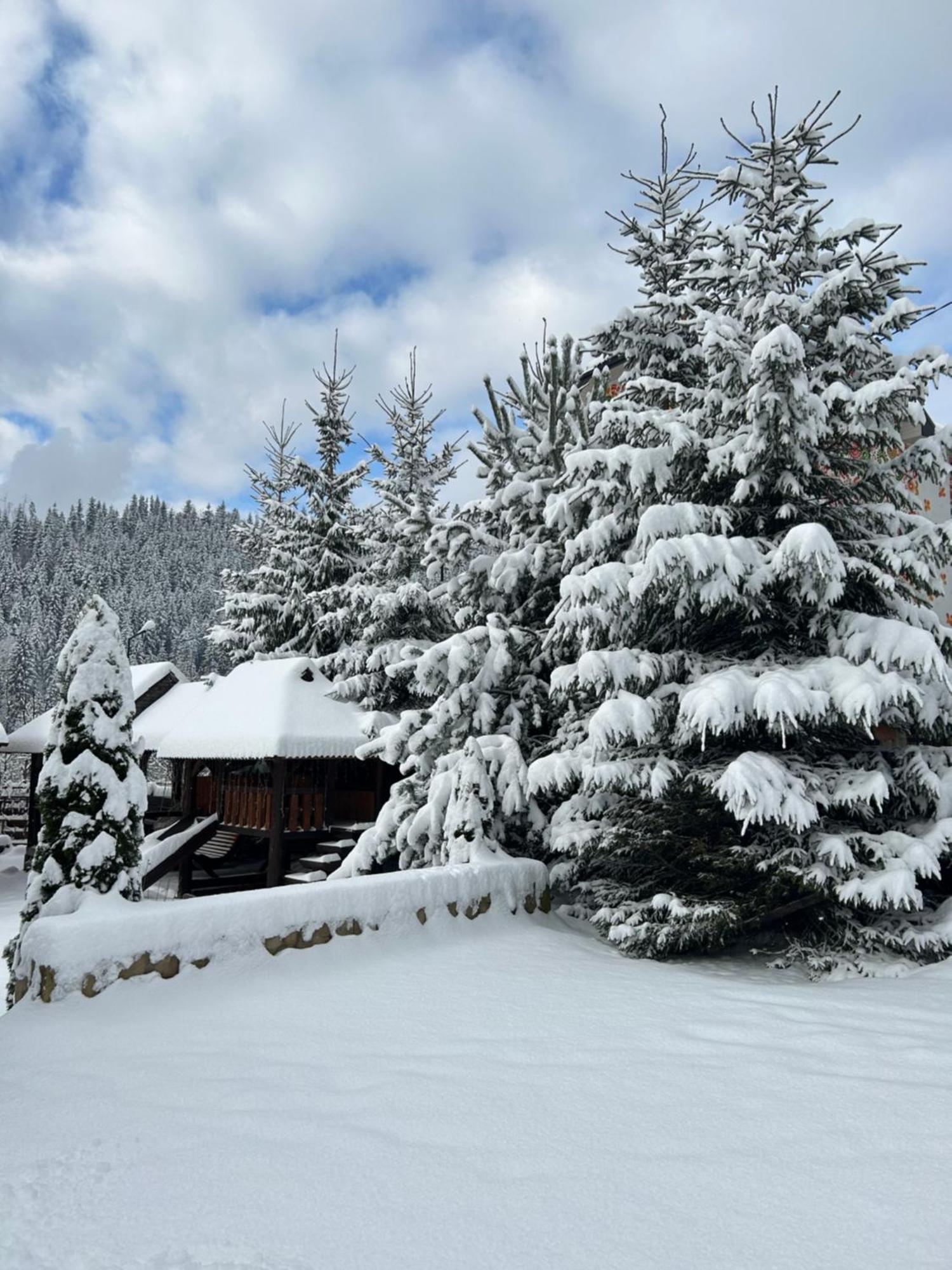 Guest House Kaspiy Bukovel Dış mekan fotoğraf